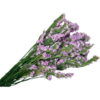 Stabilizované kvety Statice Limonium sinuata 120g - ružovofialové