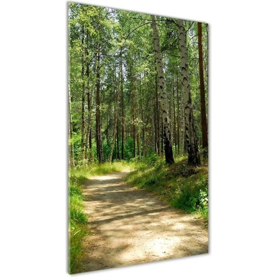 Vertikálny fotoobraz na skle Brezový les 50x100 cm