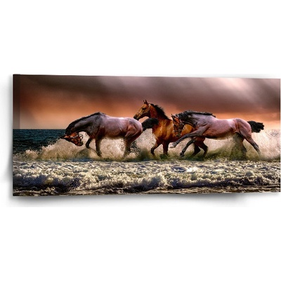 Sablio Obraz Kone vo vode - 110x50 cm