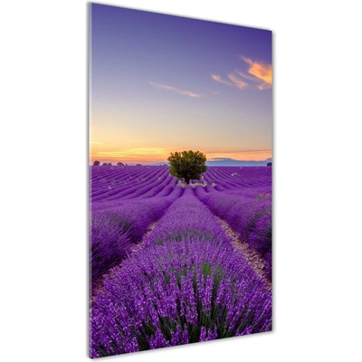 Vertikálny fotoobraz na skle Pole levanduľe 50x100 cm