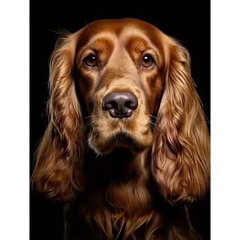 Image 1 of Norimpex - Puzzle Diamant painting: Irish Setter 30x40 cm - 1 - 39 piese