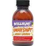 Damhert Wellbeing Био енергизиращ шот с джинджифил и ябълки, 75 ml, Damhert (055552 (55552) DMN)