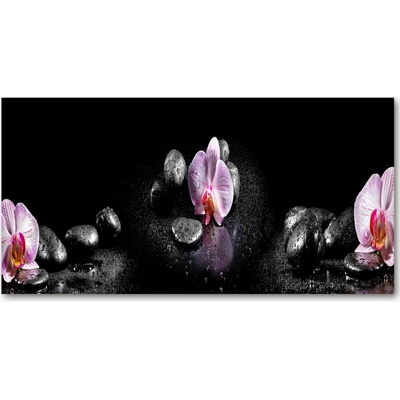Foto obraz sklo tvrzené orchidea 100x50 cm