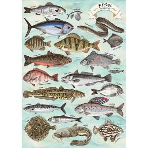Trefl - Puzzle Premium Plus Finders Keepers: Fish - 500 piese