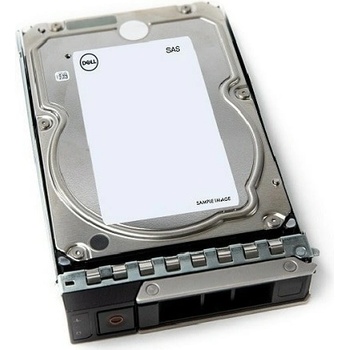 Dell 12TB 7.2K RPM SAS ISE 12Gbps 512e 3.5in, 161-BCJX