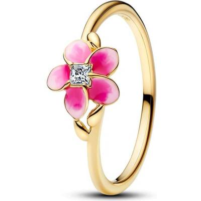 Pandora 163844C01