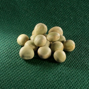 AROS hrách setý – zelený