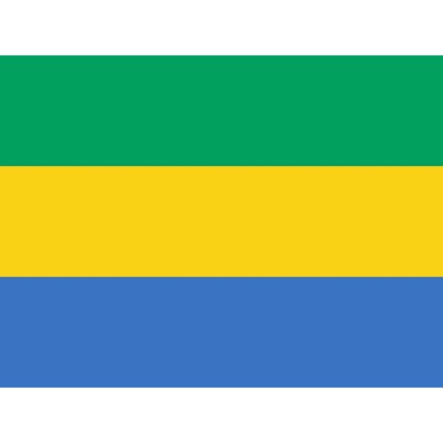 Gabon vlajka - 30 x 45 cm - tunel, karabina