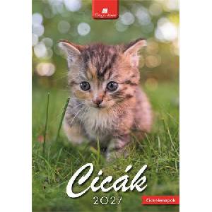 Dayliner Календар, стенен, dayliner, „Котенца (dl7fa-cib4)