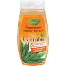 BC Bione Cannabis regenerační výživný šampón 260 ml