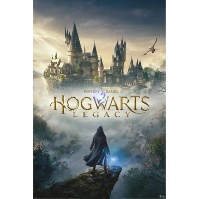 Plagát Hogwarts Legacy - Wizarding World Universe 61 x 91 cm