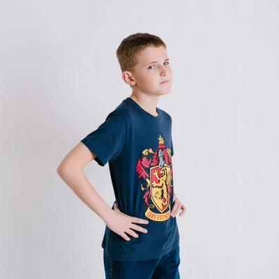Tričko Harry Potter Gryffindor modré