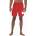 Nike Mъжки бански шорти Nike Specs 7 Volley university red