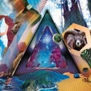 311 - Universal Pulse CD
