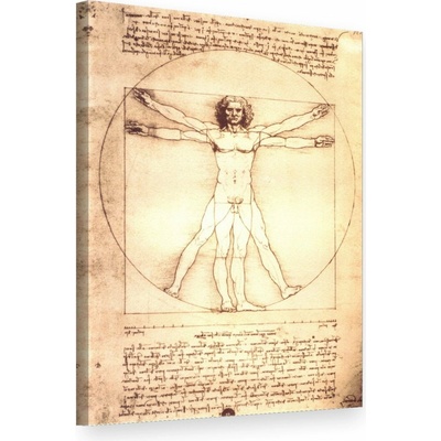 Obraz na plátne VITRUVIÁNSKY MUŽ– Leonardo Da Vinci - 100x70 cm