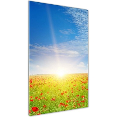 Vertikálny foto obraz sklenený Pole makov 50x100 cm