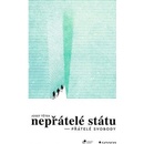 Nepřátelé státu