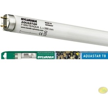 Sylvania Aquastar zářivka T8 14 W, 361 mm