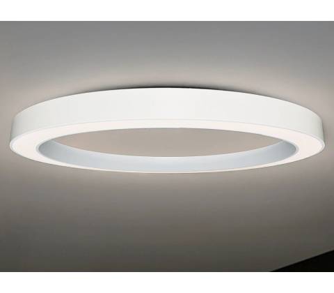 Nedes CL7464