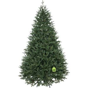 Nolari Изкуствена коледна елха височина 210 cm Canadian Spruce 3D - Můj Stromeček (501_SMRKAN_100PE_210)