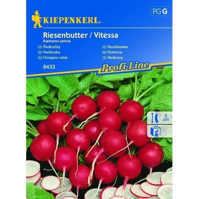 Kiepenkerl Semená Reďkovka Vitessa