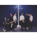 Stray Kids: Top LTD