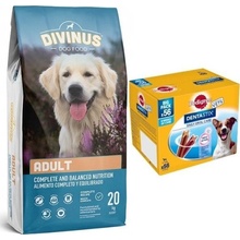 Divinus Adult dla psów dorosłych 20 kg