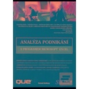 Analýza podnikání s programem Microsoft Excel