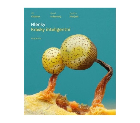 Hlenky