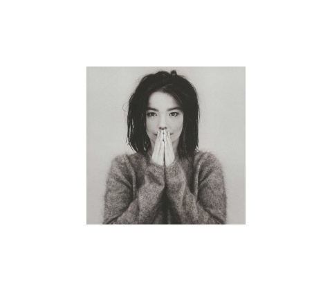 Debut - Bjork LP