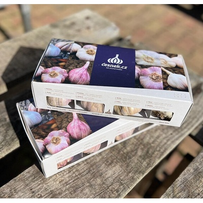 Český sadbový česnek 8 odrůd v krabičce