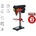 Raider RDP-BD05 (011105)
