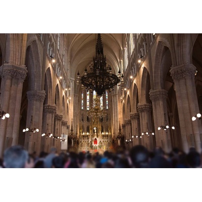 DIMEX ART Флизелинов фототапет базилика 375 x 250 см