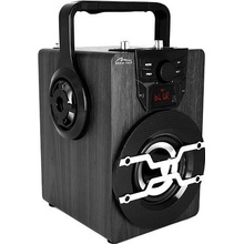 Media-Tech Boombox Pro BT