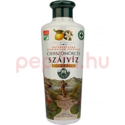 Herbária so škumpou vlasatou citrónová príchuť 250 ml