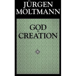God in Creation (ISBN: 9780800628239)