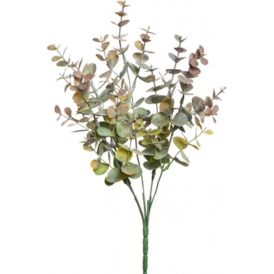 Blahovičník - Eukalyptus keř červ/zelená (x25) v34 cm (FB108383908)