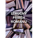 Stručný příběh románu