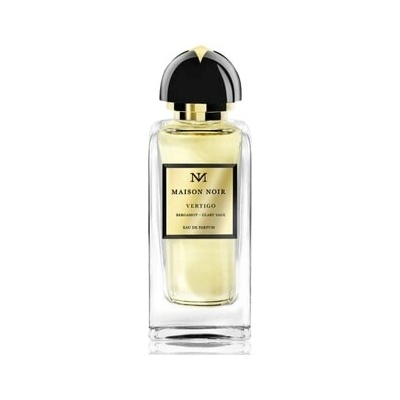 Maison Noir Vertigo 236 parfémovaná voda unisex 100 ml