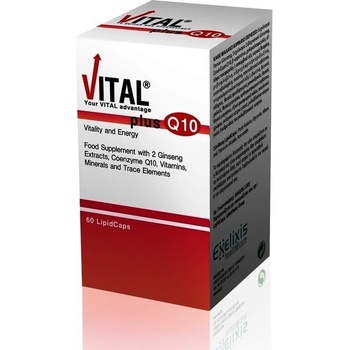 VITAL PLUS Хранителна добавка Мултивитамини, Vital Plus Q10 Vitamin for Energy 10mg 60 softgels