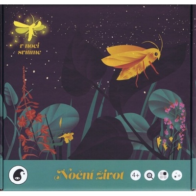 Noční život - Šuleková Zuzana