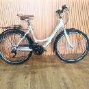 Ultra Tonus 26 (2025)