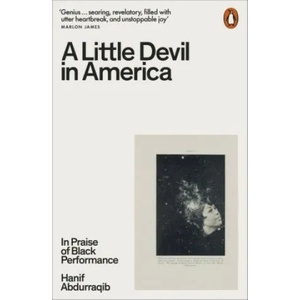 Little Devil in America (ISBN: 9780141995793)