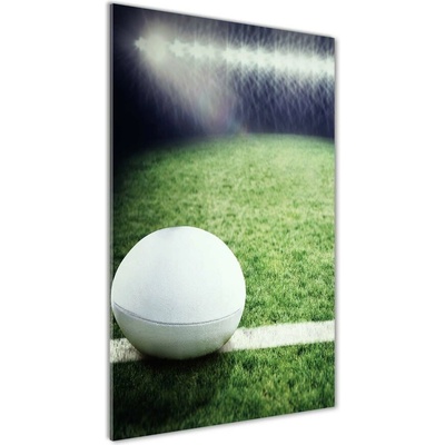 Vertikálny fotoobraz na skle Ragby lopta 50x100 cm