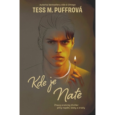 Kde je Nate - Tess M. Puffrová