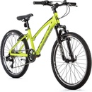 Leader Fox Spider 4 2023