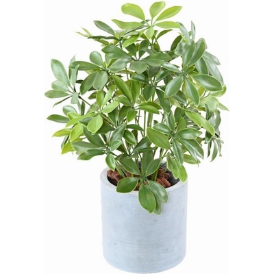 Luxusní umělá rostlina Schefflera Plast UV, 50cm