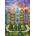 Alipson Puzzle - Puzzle The Rainbow Village - 1 000 piese