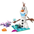 Image 1 of LEGO® Disney™ Frozen - Olaf and Bruni's Picnic Fun (43287)