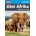 Jižní Afrika